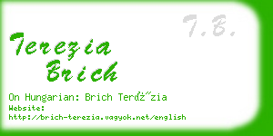 terezia brich business card